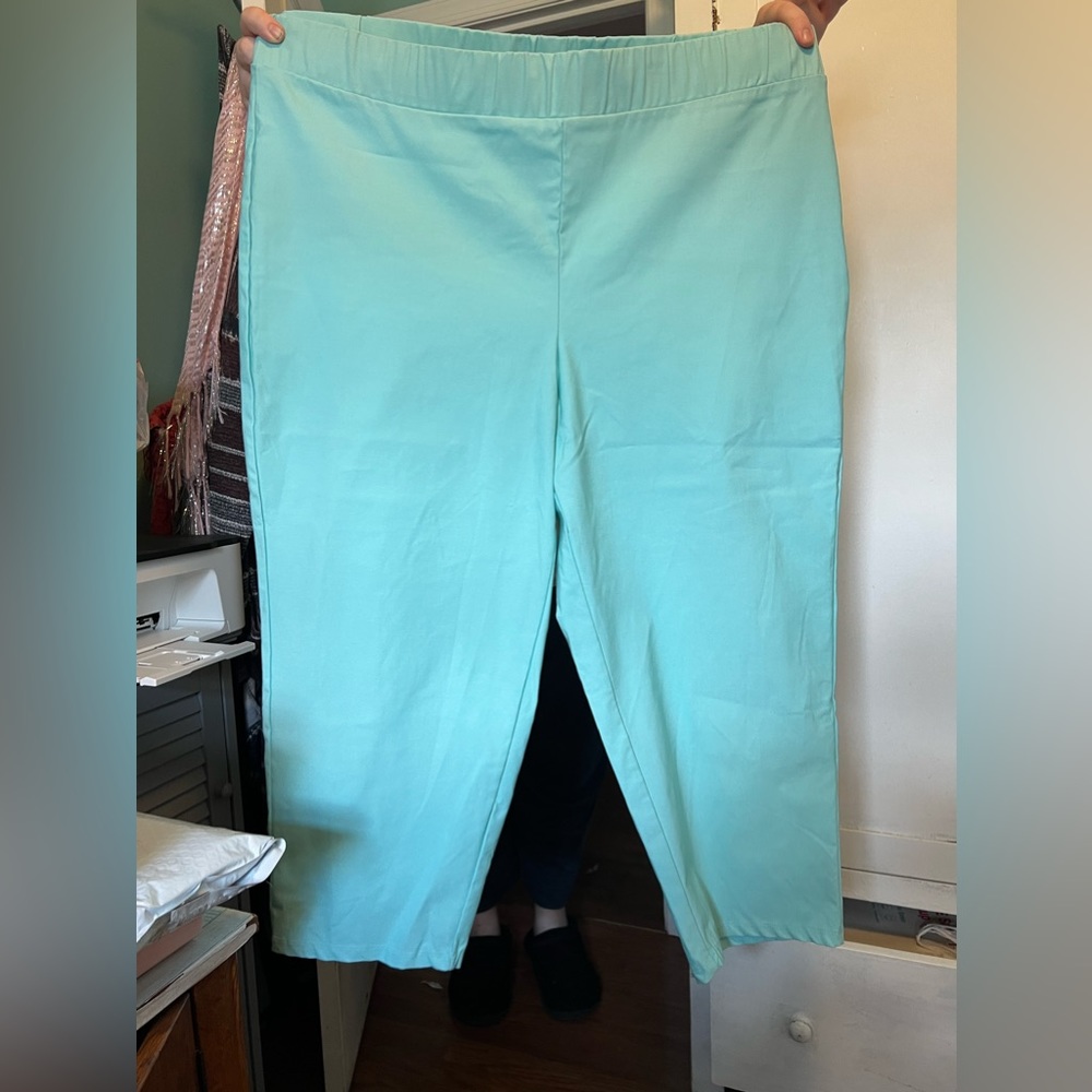 Ashley Stewart Capri